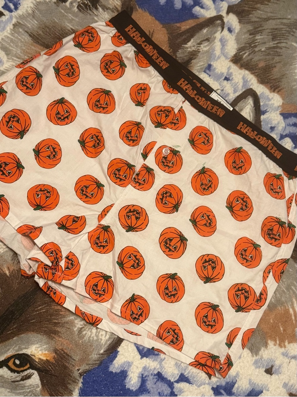 Halloween Pumpkin Print  Shorts - Orange on White